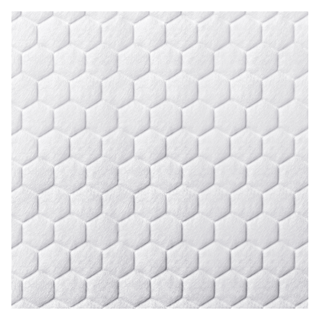 Biatain® Fiber Ag